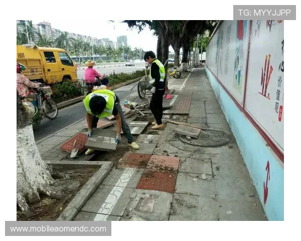 新濠官网入口：官方入口常见问题及解决方案详细解析