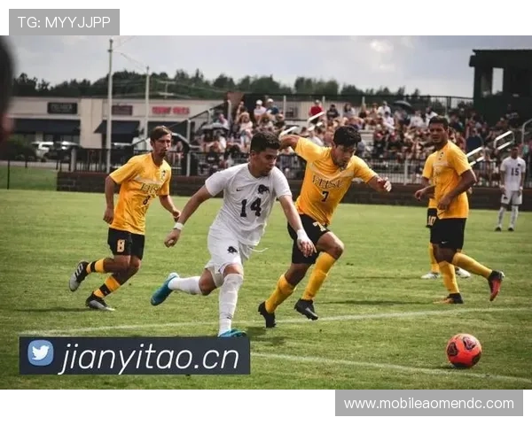 尊龙凯时真人为玩家提供高品质的现场真人娱乐体验，感受真实互动乐趣无限