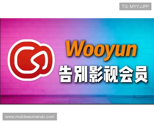 完美视讯网站：一站式观看高清电视节目的最佳选择