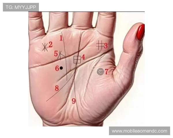 掌握百家乐技巧快速积累财富的实战经验分享