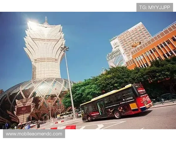 深入了解澳门百家乐的详细规则和玩法技巧，提高获胜概率