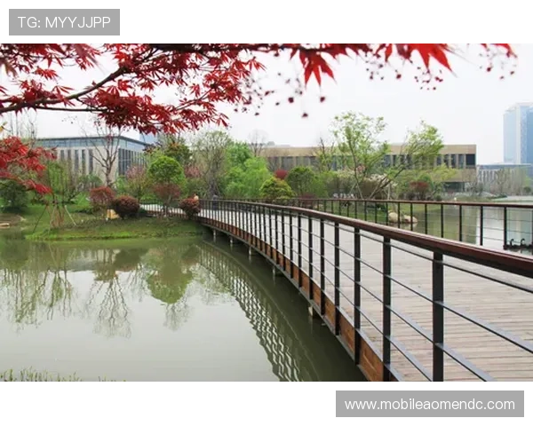 澳门六张赌牌持有者的合作关系与竞争格局，行业内部动态全景透视