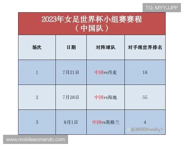 关于世界杯巴西海地比赛的票务信息、购票流程及现场观赛注意事项